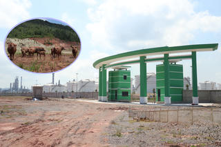 Dự án nhiệt điện 21 nghìn tỷ "hoang sơ" đến khó tin