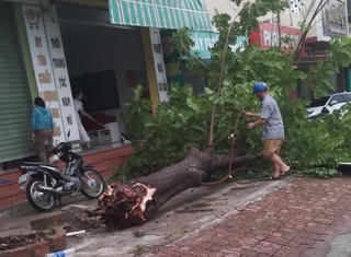 Quảng Trị: Lốc xoáy khiến hàng chục ngôi nhà bị tốc mái
