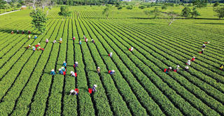 Hòn đảo xanh trên miền sơn cước Hà Tĩnh