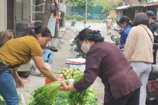 Giá cả ổn định, nhịp mua bán dần trở lại