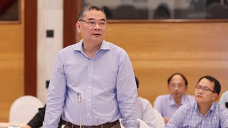 Số tài sản được kê biên, phong toả vụ Tân Hoàng Minh khoảng 4.000 tỷ đồng