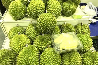 Lâm Đồng: Khuyến cáo nông dân không tự phát mở rộng diện tích sầu riêng