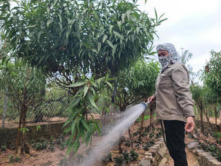 Hà Nội: Người dân Nhật Tân tất bật chuẩn bị vụ hoa Tết