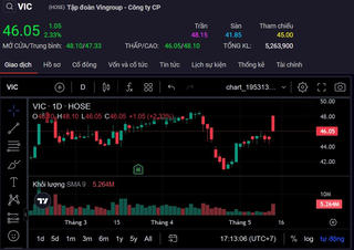 Cổ phiếu Vingroup tăng sau 'sức nóng' của mẫu xe điện VinFast VF 3