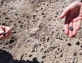 Phát hiện loài mới trong dòng dõi tiến hóa của loài người