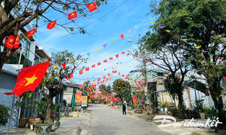 Quảng Nam rực rỡ cờ, hoa chào đón năm mới