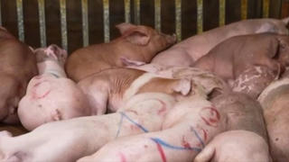 Hại cộng đồng vì lợi riêng