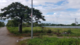 Gần 1.000 lô đất tại 9 mặt bằng quy hoạch ở TP Thanh Hóa: Suốt 10 năm chưa được cấp sổ đỏ?