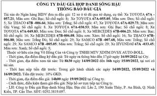 CÔNG TY ĐẤU GIÁ HỢP DANH SÔNG HẬU - THÔNG BÁO ĐẤU GIÁ
