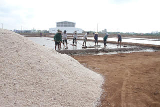 Kỳ vọng vào vụ muối mới