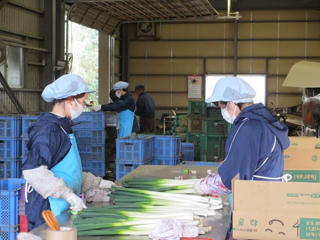 7 tháng, 85.200 lao động đi làm việc ở nước ngoài