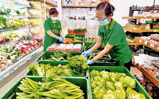 Tâm lý thị trường tạo áp lực tăng giá