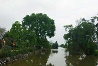 Nhiều vấn đề cần được làm rõ trong vụ bán đất công ích xây dựng nông thôn mới ở Mỹ Hào?