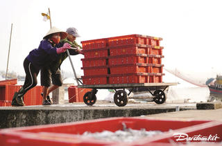 Lộc biển đầu năm