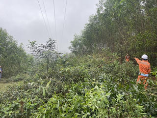 Công ty Điện lực Hà Tĩnh nâng cao hiệu quả công tác tuyên truyền bảo vệ hành lang an toàn lưới điện