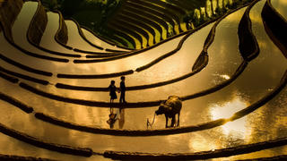 Khoảnh khắc ấn tượng của Chiều Xuân