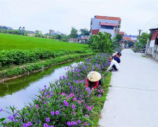 Bảo vệ môi trường từ những mô hình tự quản