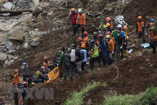 Tiếp tục tìm thấy nhiều nạn nhân động đất ở Indonesia