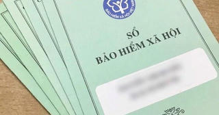 Có nhiều sổ bảo hiểm xã hội, hưởng trợ cấp thất nghiệp thế nào?