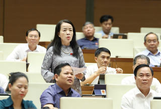 Đề nghị giữ lại quyền chất vấn của đại biểu Hội đồng nhân dân đối với Chánh án và Viện trưởng