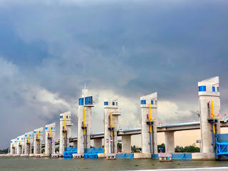 Linh hoạt ứng phó hạn mặn