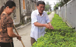 Đã làm phải thực chất