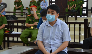Chuẩn bị xét xử ông Nguyễn Đức Chung trong vụ án trồng cây xanh