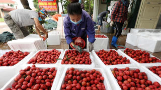 Xuất khẩu nông, lâm, thủy sản: Làm gì để cán đích 55 tỷ USD?