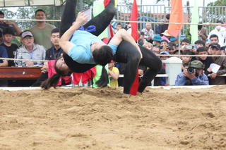 Đầu năm, về làng Sình xem nam, nữ tranh tài hội vật