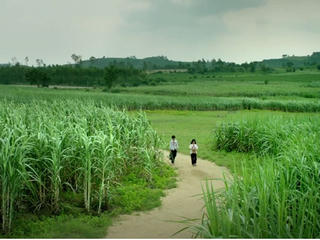 Nhiều tiền có làm được phim hay?