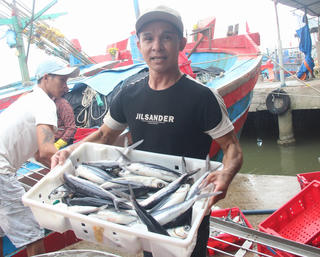 Hối hả những chuyến ra khơi