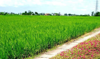 Thái Bình: Bắt loạt cán bộ huyện Hưng Hà liên quan đến đất đai