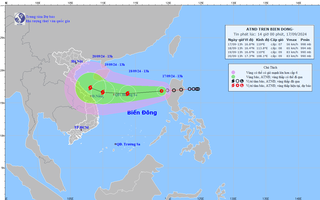 Chủ động ứng phó áp thấp nhiệt đới có khả năng mạnh lên thành bão