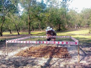 Phát hiện hầm đạn tại tỉnh Quảng Trị