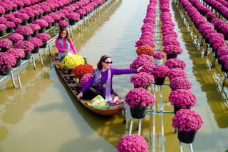 Làng hoa Sa Đéc  lôi cuốn du khách bằng sắc màu rực rỡ