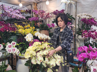 Sức mua giảm, tiểu thương bán hoa Tết giữ giá để thu hút khách