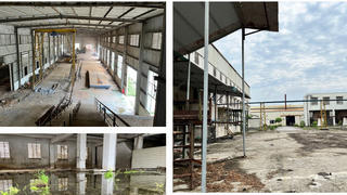 Nhếch nhác nhà máy giấy nghìn tỷ