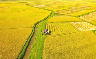 Đề xuất ưu đãi thuế cho dự án nông nghiệp