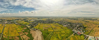 Rực rỡ màu sắc trên những cánh đồng lúa chín ở Hà Tĩnh