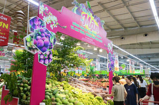 Tuần lễ mận và nông sản an toàn tỉnh Sơn La và các tỉnh, thành phố năm 2023