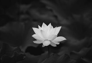 Lời chia buồn cùng đồng chí Đỗ Minh Tuấn