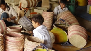 Sử dụng người lao động dưới 15 tuổi có bắt buộc ký hợp đồng lao động?