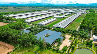 Tăng 4 bậc trong bảng xếp hạng thực phẩm toàn cầu: Vinamilk khẳng định sức mạnh thương hiệu Việt