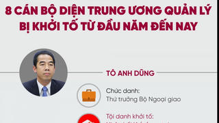 8 cán bộ diện Trung ương quản lý bị khởi tố từ đầu năm đến nay