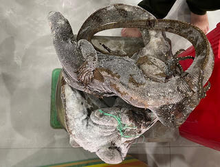 Bất ngờ bên trong ngôi nhà vừa bị lực lượng Công an phát hiện 