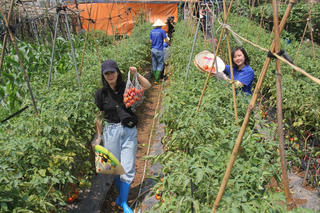 Xu hướng 2025: Du lịch 'chữa lành'