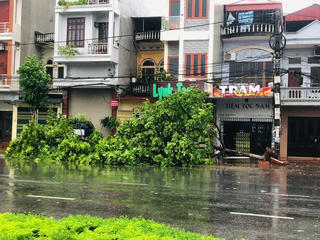 Tổng công ty Điện lực miền Bắc huy động toàn bộ nhân lực hỗ trợ các Điện lực ngay khi bão số 3 đi qua