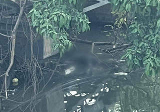 Huế: Phát hiện thi thể nam giới trôi nổi trên sông