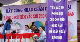 Người dân cần chú ý phòng bệnh dại, không đùa nghịch với chó mèo