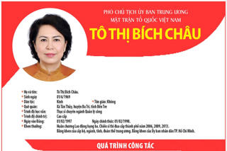 [Infographic] Phó Chủ tịch UBTƯ MTTQ Việt Nam Tô Thị Bích Châu